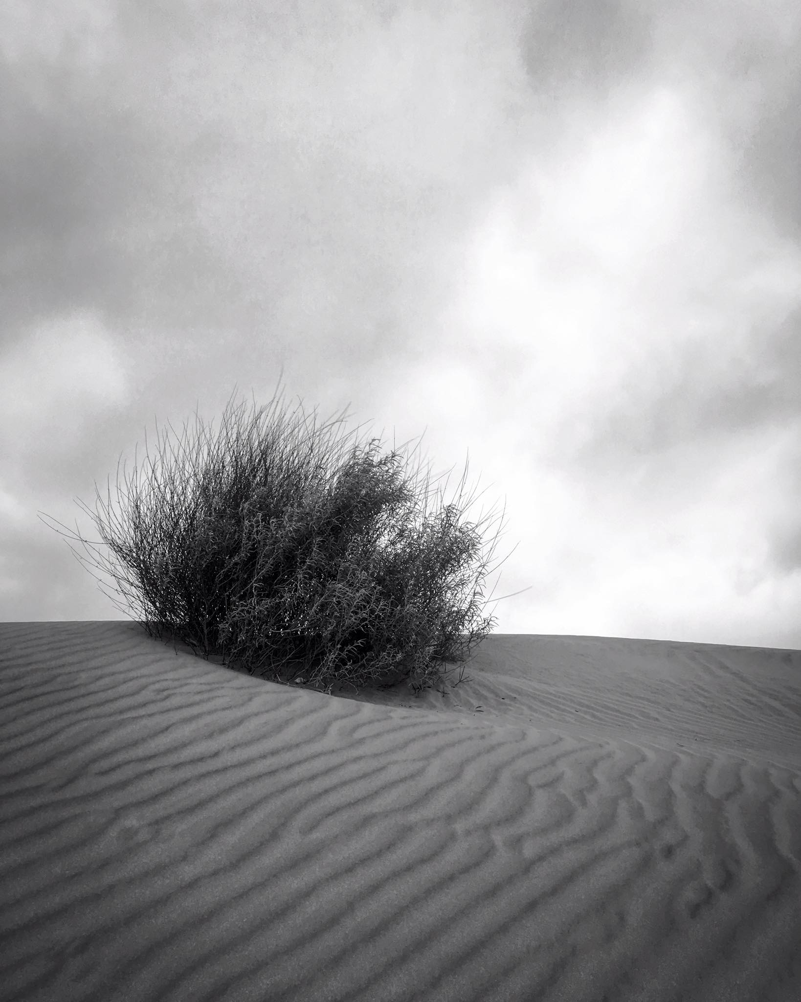 Khuri Desert, Rajasthan