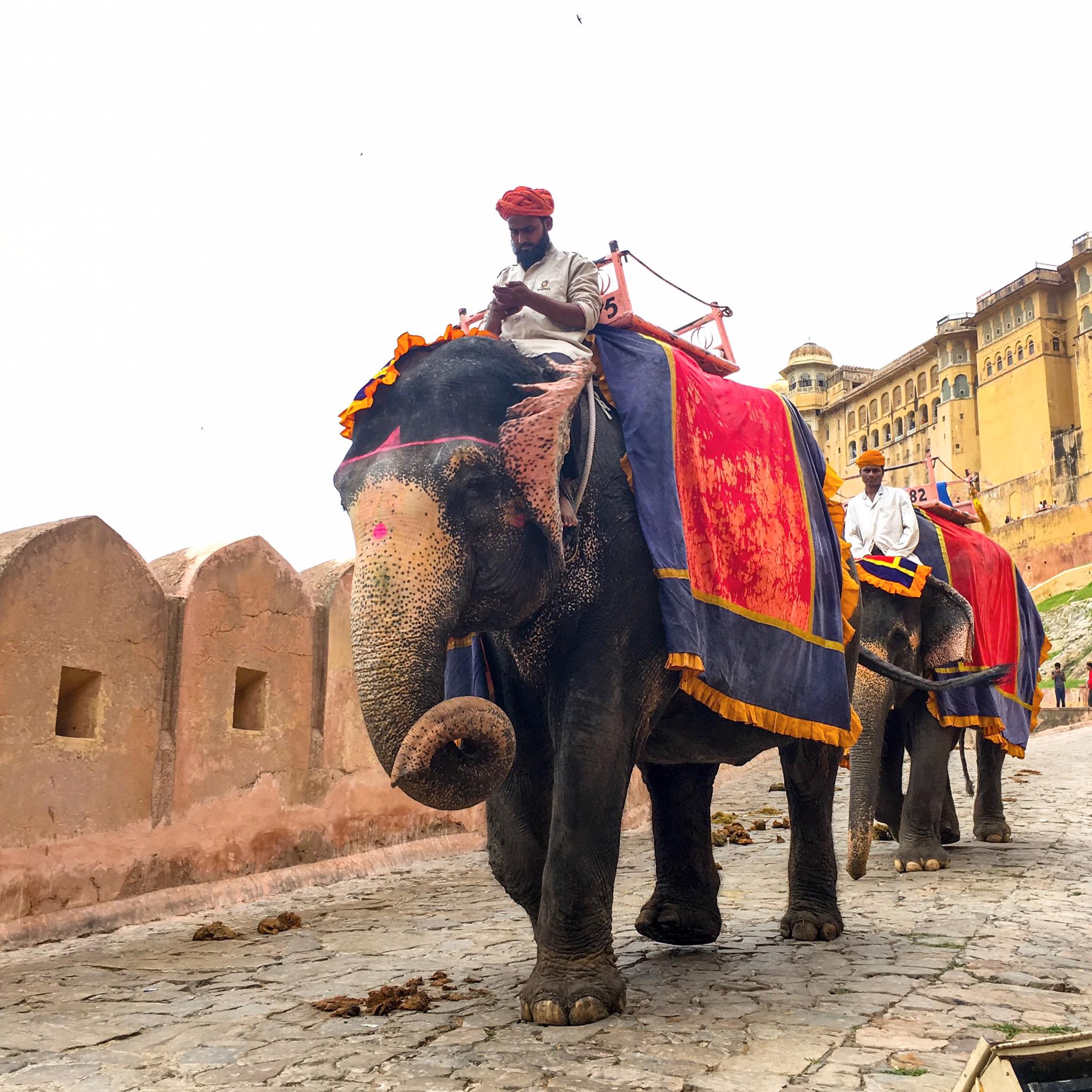 Amber Palace, Jaipur