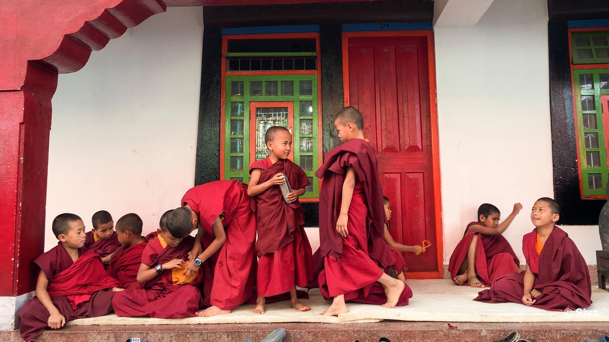 Playful Monks, Sikkim